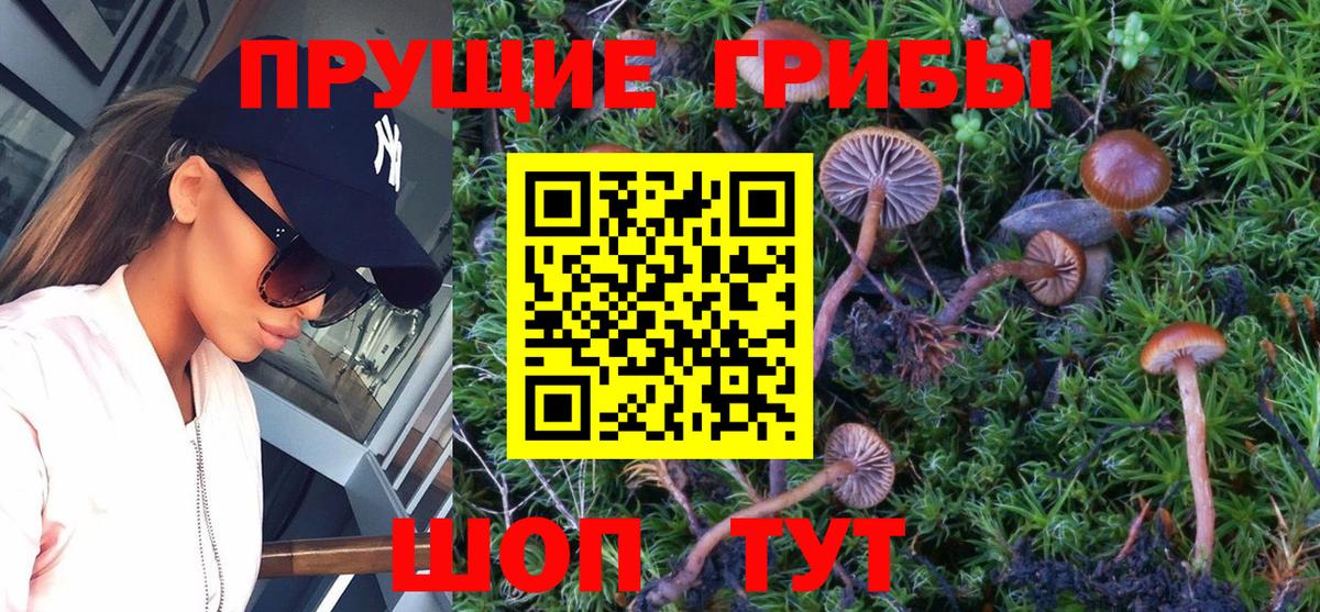 Галлюциногенные грибы GOLDEN TEACHER  Псилоцибиновые грибы ЛСД  Вход с VPN  Азнакаево 